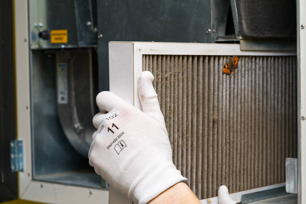 Best Affordable Duct Cleaning Services  in Thomaston, GA